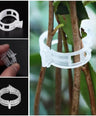 Plant Support Clips